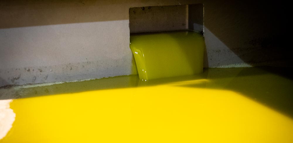 Flujo de aceite de oliva en una fábrica